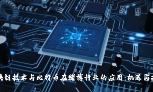 区块链技术与比特币在赌博行业的应用：机遇与挑战
