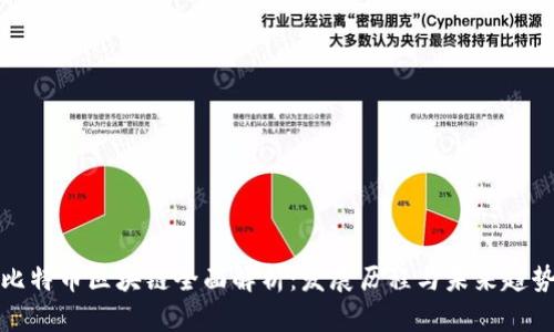 比特币区块链全面解析：发展历程与未来趋势