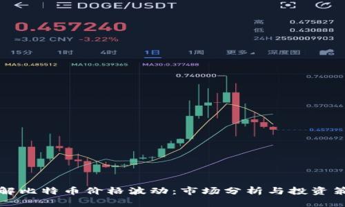 理解比特币价格波动：市场分析与投资策略