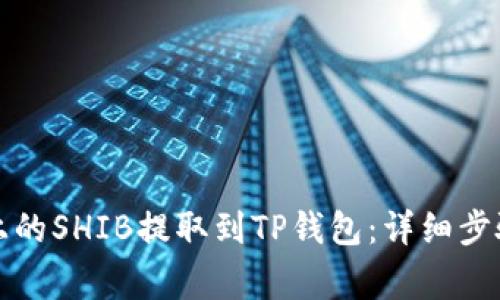 如何将火币上的SHIB提取到TP钱包：详细步骤与注意事项