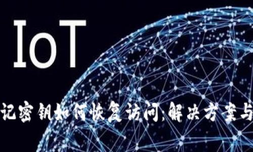 TP钱包忘记密钥如何恢复访问：解决方案与注意事项