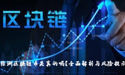 绿洲区块链币是真的吗？全面解析与风险提示