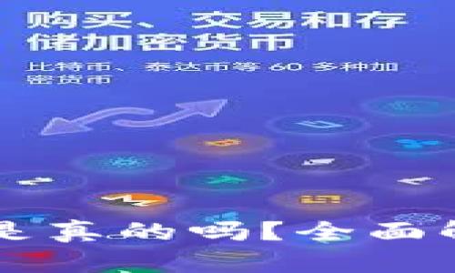 绿洲区块链币是真的吗？全面解析与风险提示