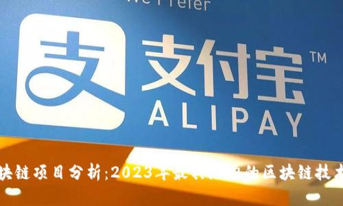 最新区块链项目分析：2023年最具潜力的区块链技术与应用