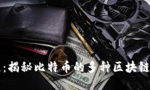 比特币区块链：揭秘比特币的多种区块链模式及其应用