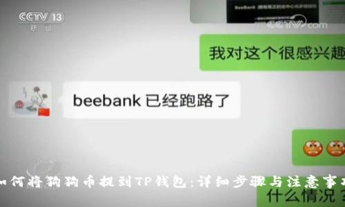如何将狗狗币提到TP钱包：详细步骤与注意事项