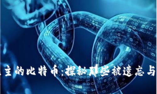 区块链上无主的比特币：探秘那些被遗忘与失落的财富
