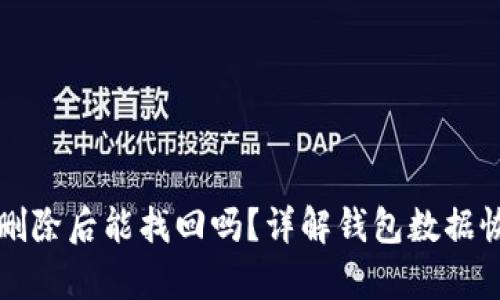 TP钱包删除后能找回吗？详解钱包数据恢复方法