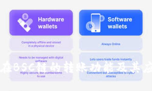 TP钱包在BSC链的转账功能及其应用指南