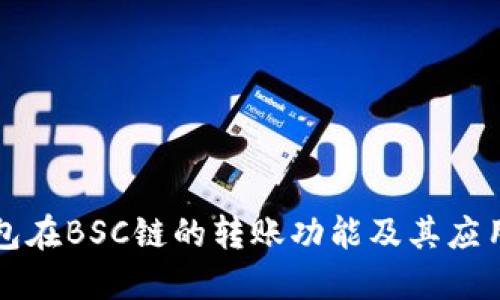 TP钱包在BSC链的转账功能及其应用指南