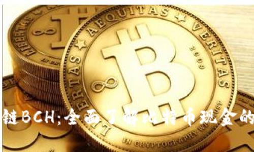 区块链BCH：全面了解比特币现金的世界