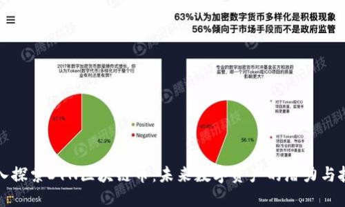 深入探索DYN区块链币：未来数字资产的潜力与挑战