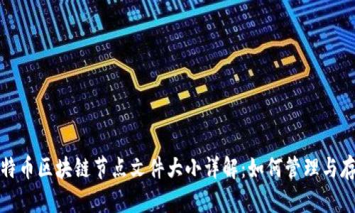比特币区块链节点文件大小详解：如何管理与存储