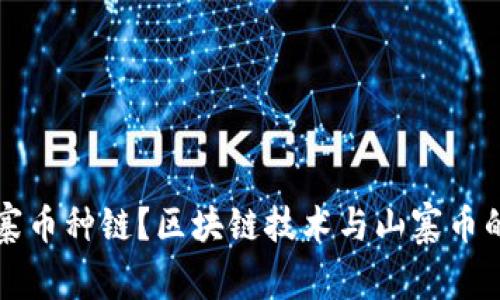 什么是山寨币种链？区块链技术与山寨币的深度解析