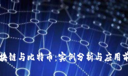 区块链与比特币：实例分析与应用前景