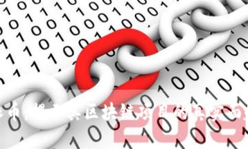 派币：揭示其区块链项目的真实面貌