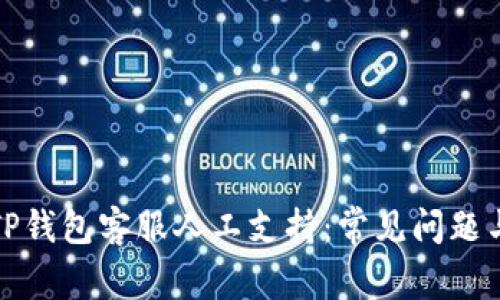 如何联系TP钱包客服人工支持：常见问题与解决方案