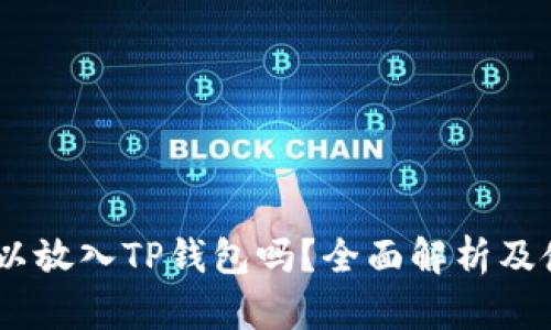 USDT可以放入TP钱包吗？全面解析及使用指南