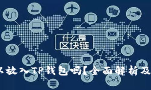 USDT可以放入TP钱包吗？全面解析及使用指南