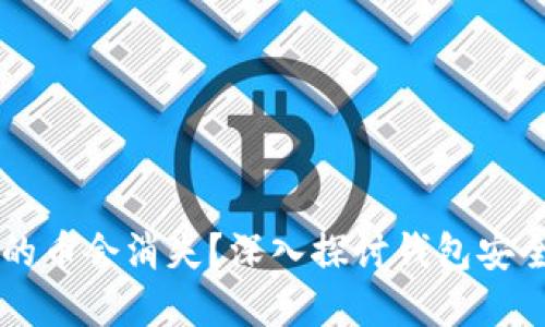 为什么TP钱包里的币会消失？深入探讨钱包安全与数字资产管理