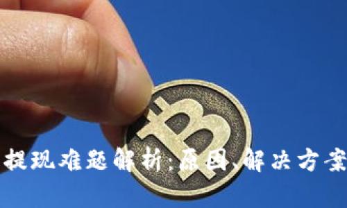 TP钱包大额提现难题解析：原因、解决方案与用户指南