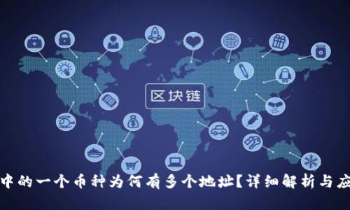 TP钱包中的一个币种为何有多个地址？详细解析与应对策略