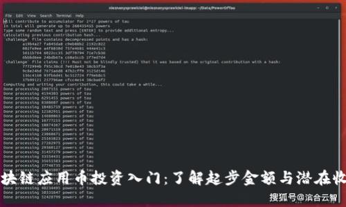 区块链应用币投资入门：了解起步金额与潜在收益