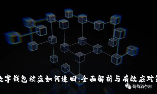 TP数字钱包被盗如何追回：全面解析与有效应对策略
