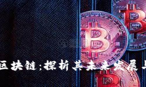 美人鱼币区块链：探析其未来发展与投资潜力