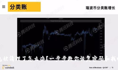 TP钱包被清理了怎么办？一步步教你恢复密码和找回资产