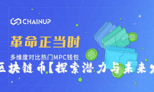 什么是区块链币？探索潜力与未来发展方向