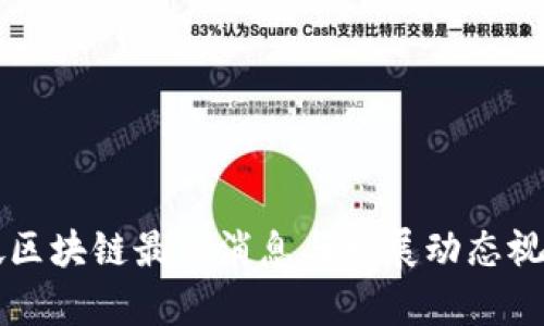 新加坡区块链最新消息与发展动态视频解析
