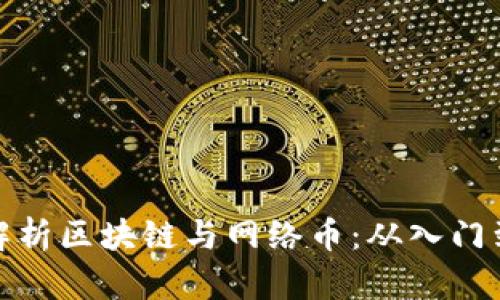 深度解析区块链与网络币：从入门到精通