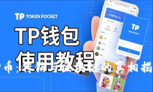 VP币：传销与区块链的真相揭秘