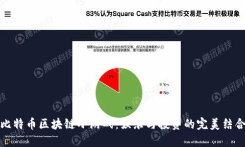比特币区块链小游戏：娱乐与投资的完美结合