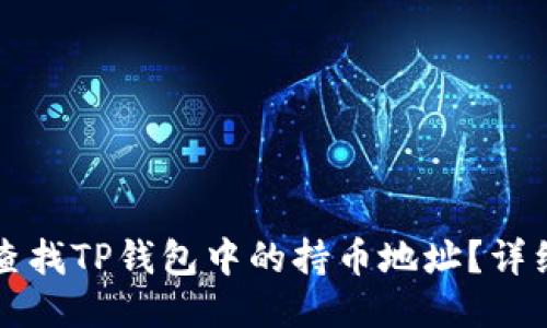 如何查找TP钱包中的持币地址？详细指南