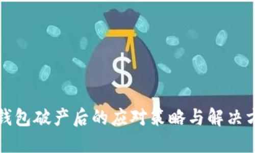 TP钱包破产后的应对策略与解决方案