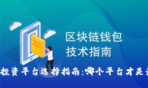 区块链币投资平台选择指南：哪个平台才是最佳选项？
