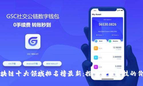 区块链十大领域排名榜最新：探索未来科技的价值