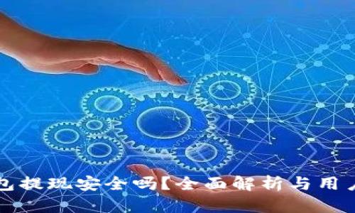 TP钱包提现安全吗？全面解析与用户指南