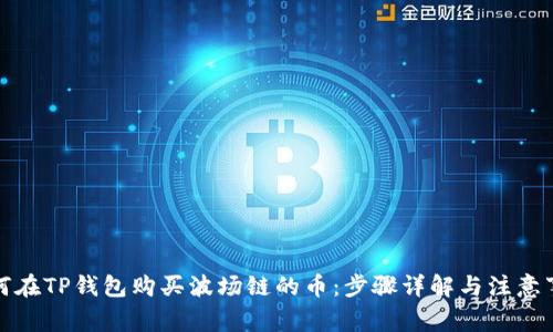 如何在TP钱包购买波场链的币：步骤详解与注意事项