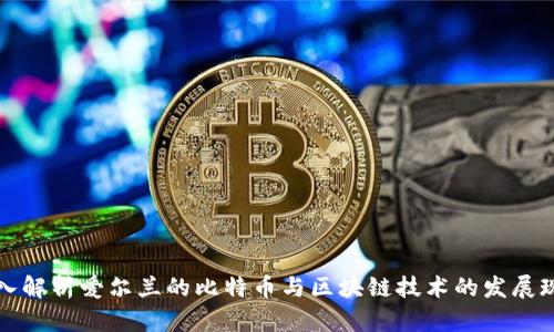 深入解析爱尔兰的比特币与区块链技术的发展现状