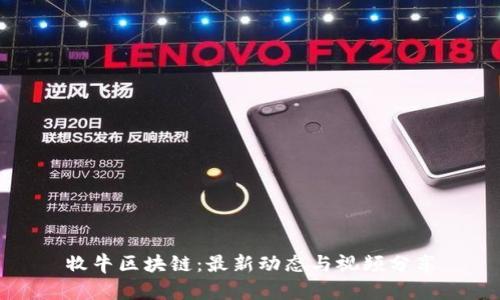 牧牛区块链：最新动态与视频分享