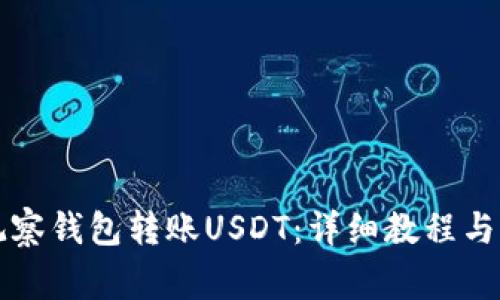 如何使用TP观察钱包转账USDT：详细教程与常见问题解答