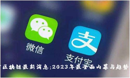 灭霸区块链最新消息：2023年最全面内幕与趋势分析