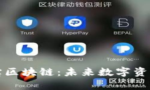 深入解析寻币宝区块链：未来数字资产管理的变革者