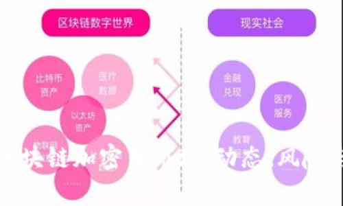 深入解析区块链加密币市场：动态、风险与未来趋势