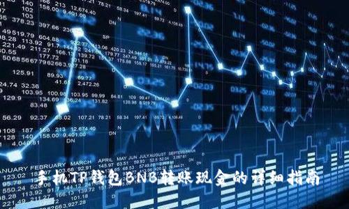 手机TP钱包BNB转账现金的详细指南