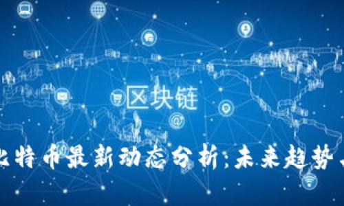 区块链与比特币最新动态分析：未来趋势与投资机会