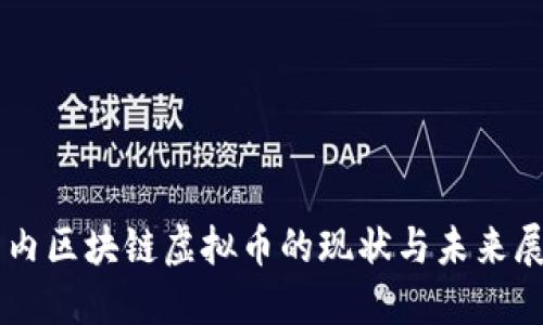 国内区块链虚拟币的现状与未来展望